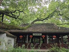 -上海醉白池公园