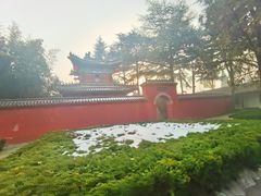-洛阳白马寺