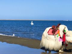 -青海湖国家重点风景名胜区