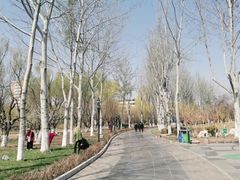 -桃花堤公园