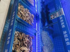 -悦海·家宴·冰花皮皮虾大锅贴(宝龙店)