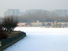 -大兴滨河森林公园