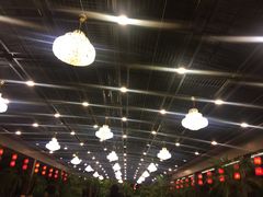 -大鹅岛绿色生态美食园