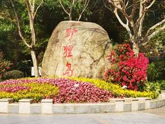 -野狸岛