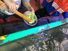 -鸿通城购物中心