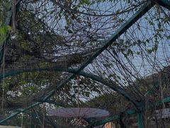 -灵玲国际马戏城