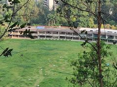 -火炉山森林公园