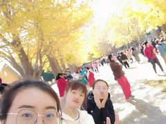 -辽宁大学(崇山校区)
