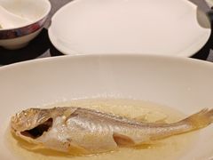 油盐水蒸中黄鱼-广舟(千禧店)