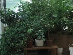-Beans Solo豆号咖啡(百家湖花园店)