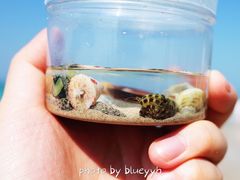 纪念品-滴水丹屏