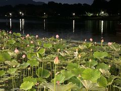 -湘湖大院(越王路店)