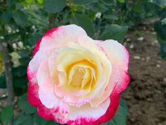 -人民公园(罗湖区)