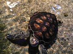 -石林冰雪海洋世界