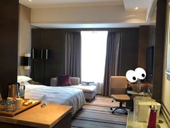-扬州绿地铂骊酒店