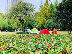 -苏州河梦清园环保主题公园