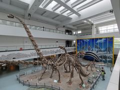 -中国地质大学逸夫博物馆