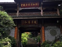 -中国茶叶博物馆(双峰馆区)