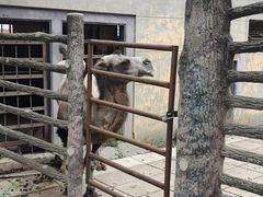 -昆明动物园