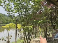 -黄龙溪欢乐田园