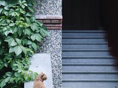 -思南公馆