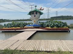 -池杉湖湿地公园