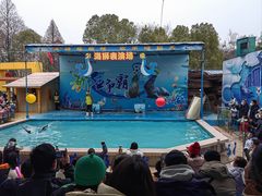 -荆州中山公园动物园