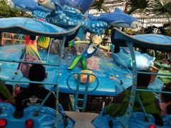 -南宫五洲植物乐园