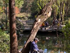 -人民公园-相亲角