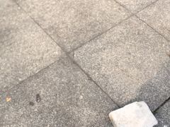-湘阁里辣(大朗广场店)