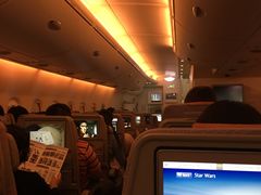 -西沃古尔·拉姆古兰爵士国际机场