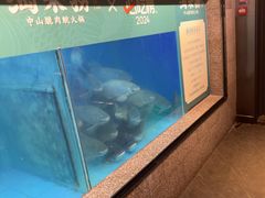 -淘米捞·米汤脆鲩鱼火锅(福田皇岗店)