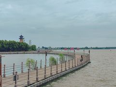 -溱湖国家湿地公园