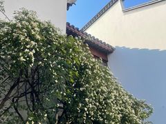 -南京市民俗博物馆(甘熙故居)
