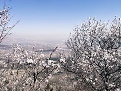 -北京鹫峰国家森林公园