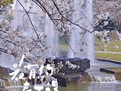 -高东镇樱花园