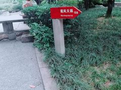 景点-神仙树公园