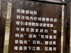 -桃花堤公园