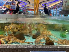-湾仔渔村(高明店)