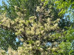 -石岛赤山风景区