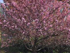 -白塘生态植物园
