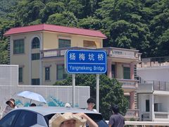 -杨梅坑