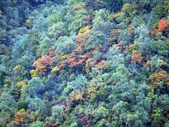 -叠溪松坪沟景区