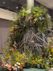 -苏州希尔顿酒店-宴会厅