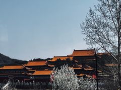 -延吉东来寺