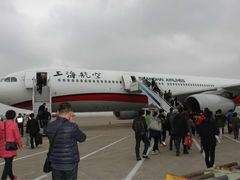 东方航空(虹桥路店)-东方航空(虹桥路店)