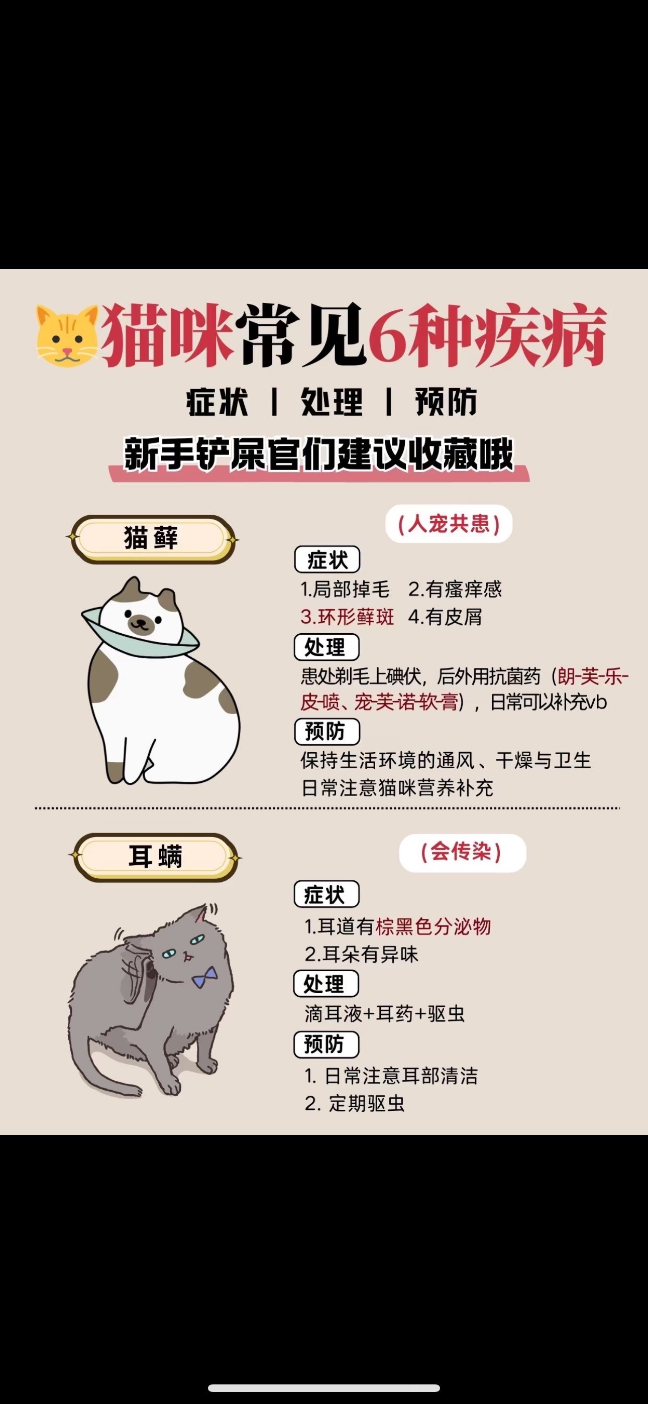 养猫的人容易得什么病图片