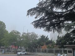 -乔家小院•非遗驴肉•本地小海鲜(滨河路店)