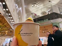 -LUNEURS月乐诗·法式冰淇淋(环贸店)