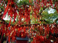 -国恩寺